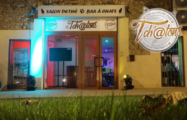 Bar A Chat Alès
