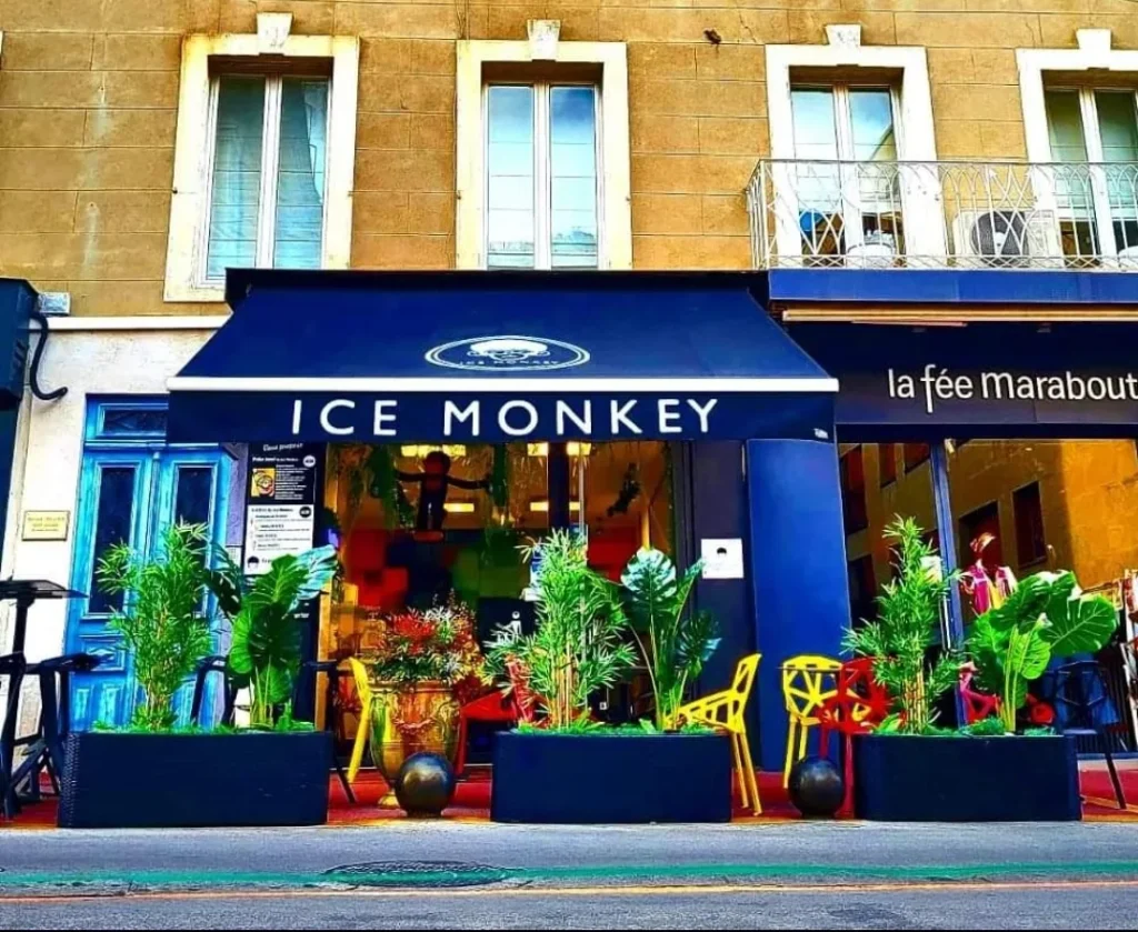 Ice Monkey Alès