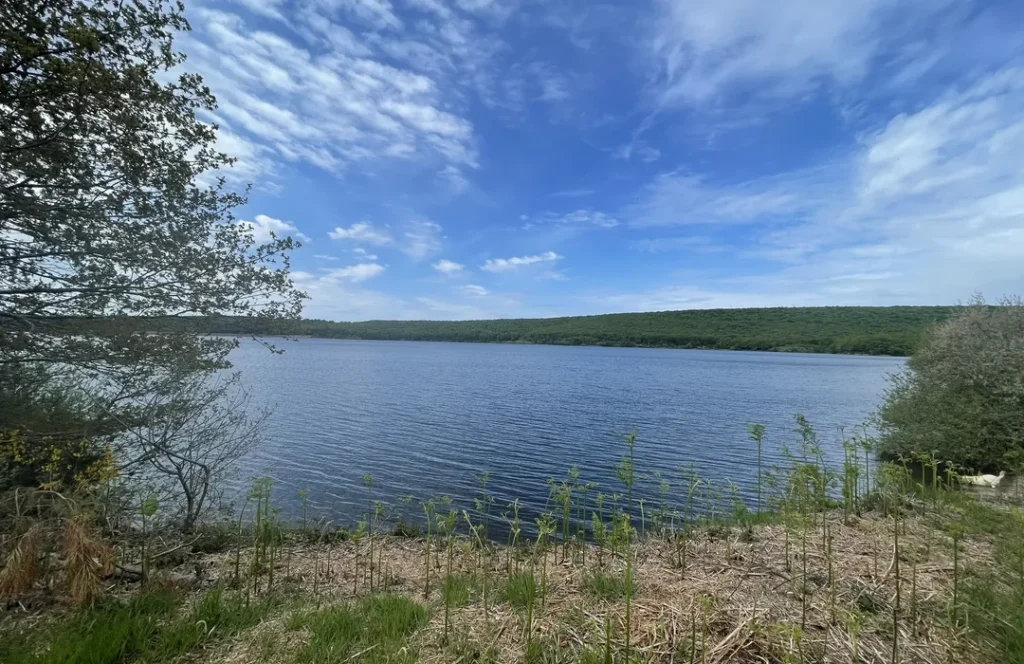Le Lac de Laprade Basse