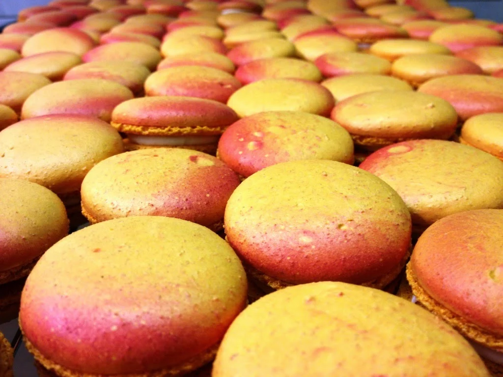 Les Macarons De Bastien Ales
