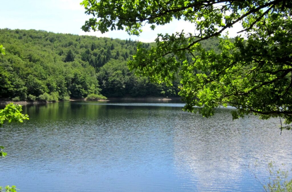 le Lac des Saints-Peyres