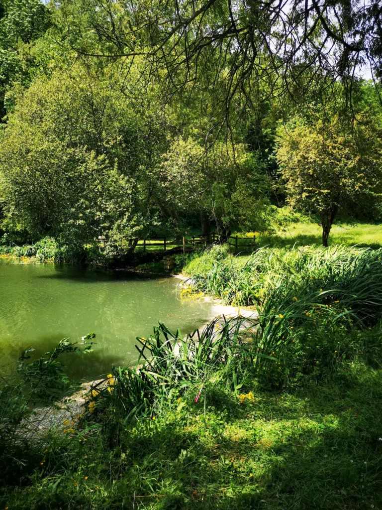 Découvrir le Lac de Labarthe-Bleys : activités,météo, accès, randonnée et bonnes adresses
