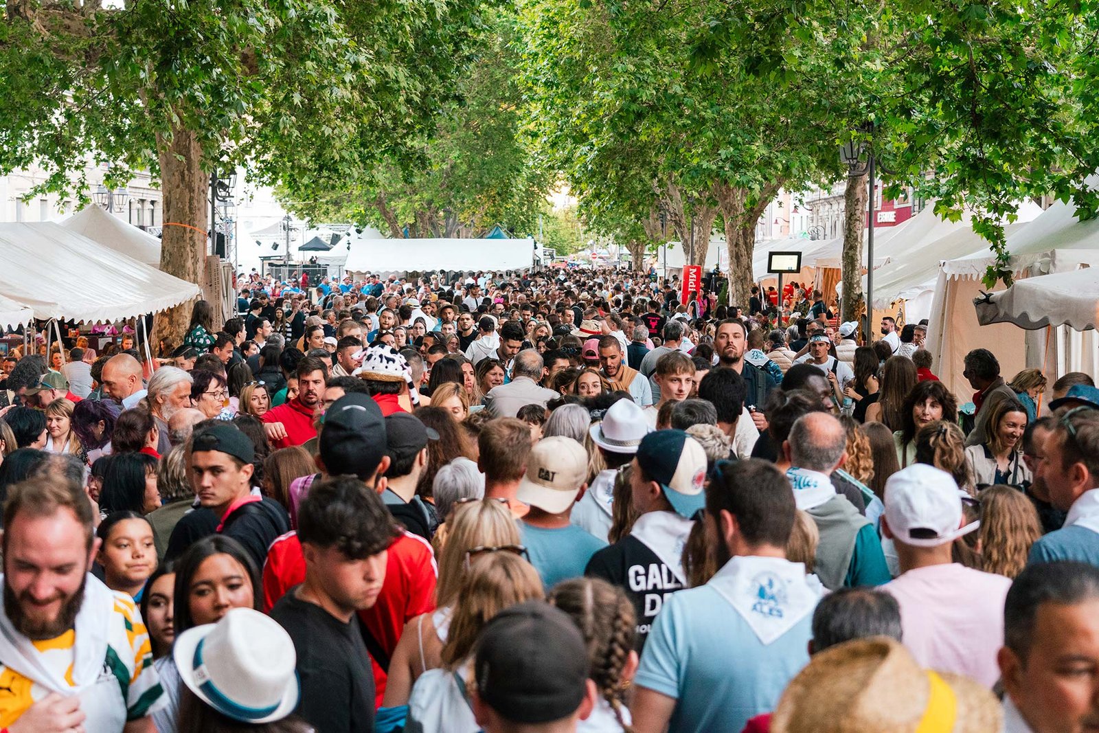 Feria Alès 2026