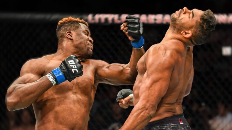 Francis ngannou fortune