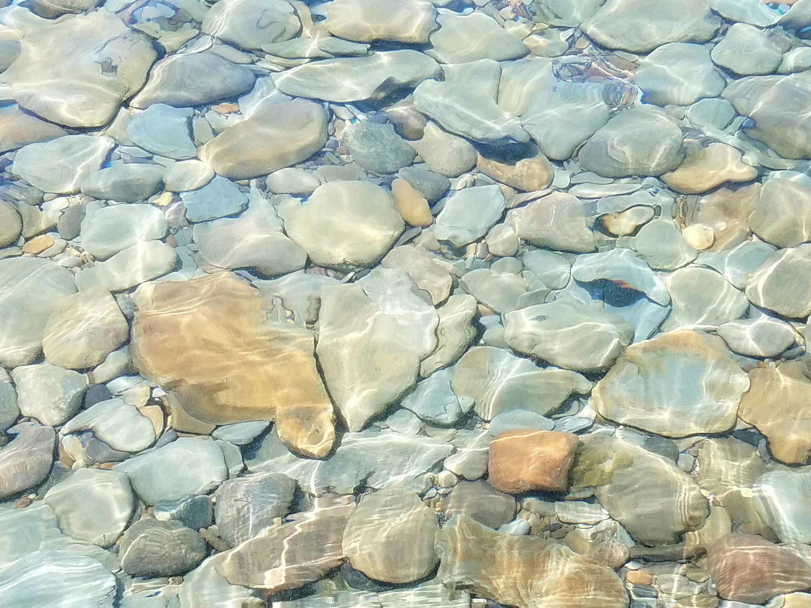 Baignade dans le Gardon au bord du camping, plage de galets dans la Vallée Borgne