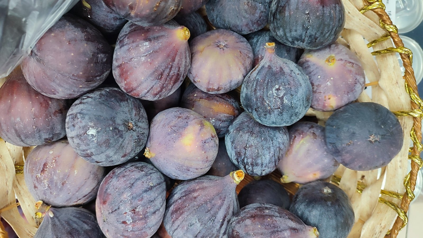 Figues mûres sur l'arbre dans un verger méditerranéen, symbole de Vézénobres