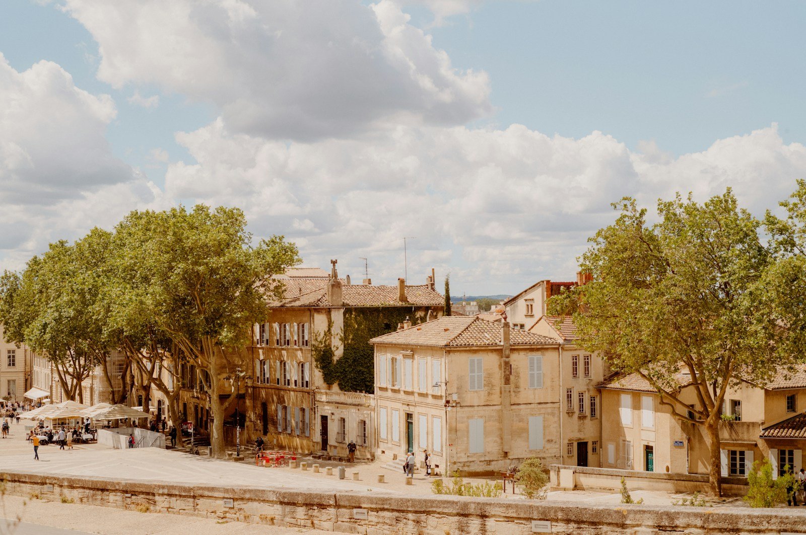 Jardin à la française du Colombier à Alès avec massifs de fleurs devant le musée