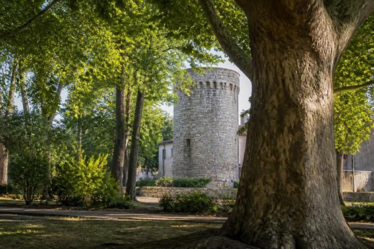 Le parc de la Tour Vieille à Alès, ses arbres séculaires et sa vieille tour de pierre