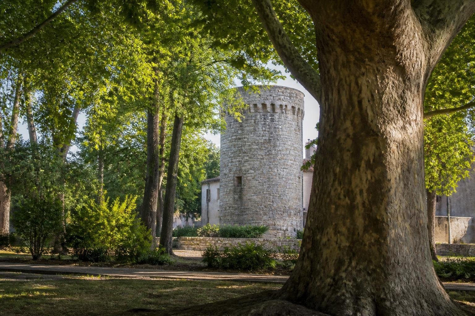 Le parc de la Tour Vieille à Alès, ses arbres séculaires et sa vieille tour de pierre