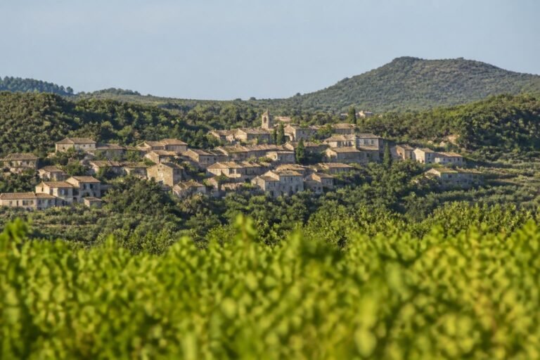 Le village de Saint-Maurice-de-Cazevieille entouré de vignes et de garrigue, dans le Gard