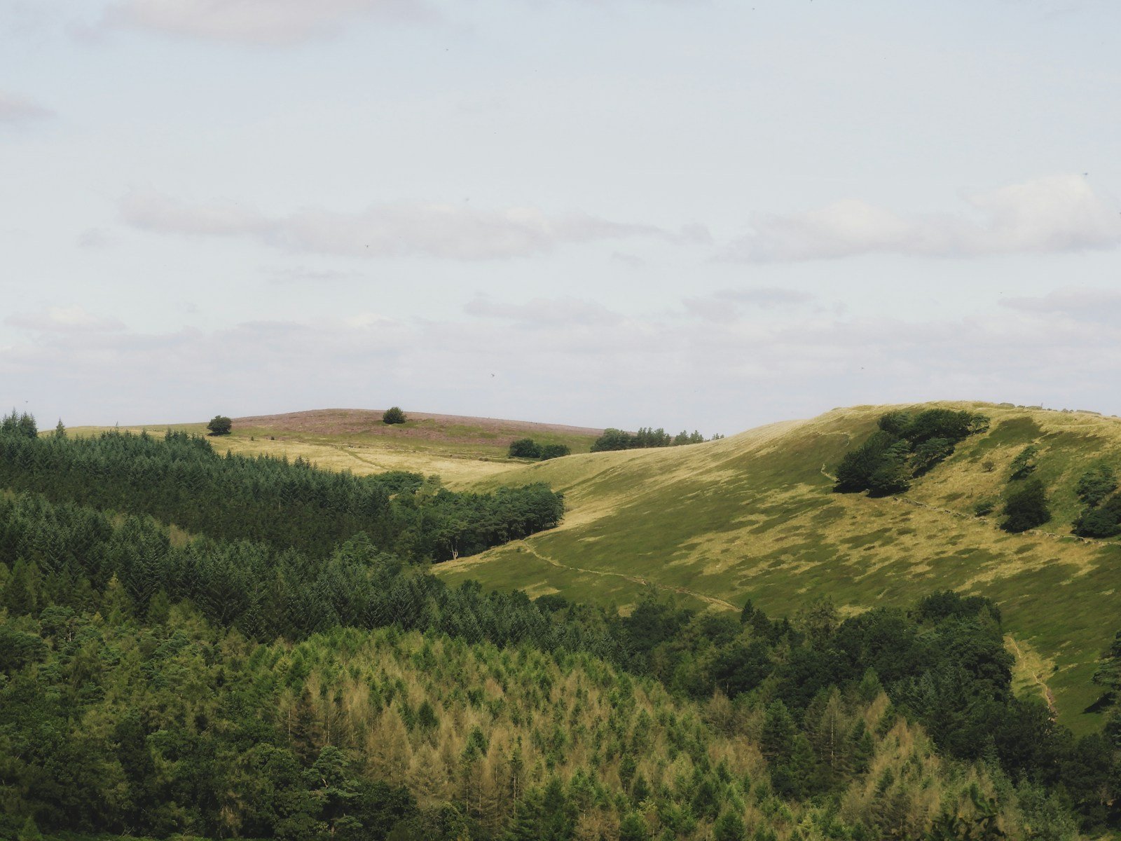 Les collines boisées du piémont cévenol autour de Saint-Jean-du-Pin, près d'Alès