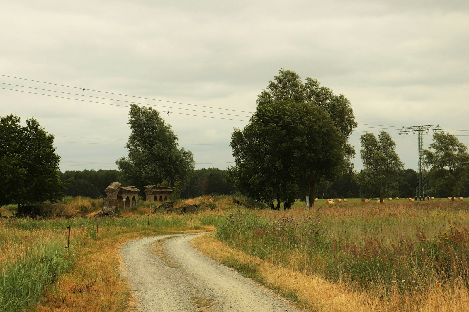 Route de campagne menant à Générargues, près d'Anduze, en été