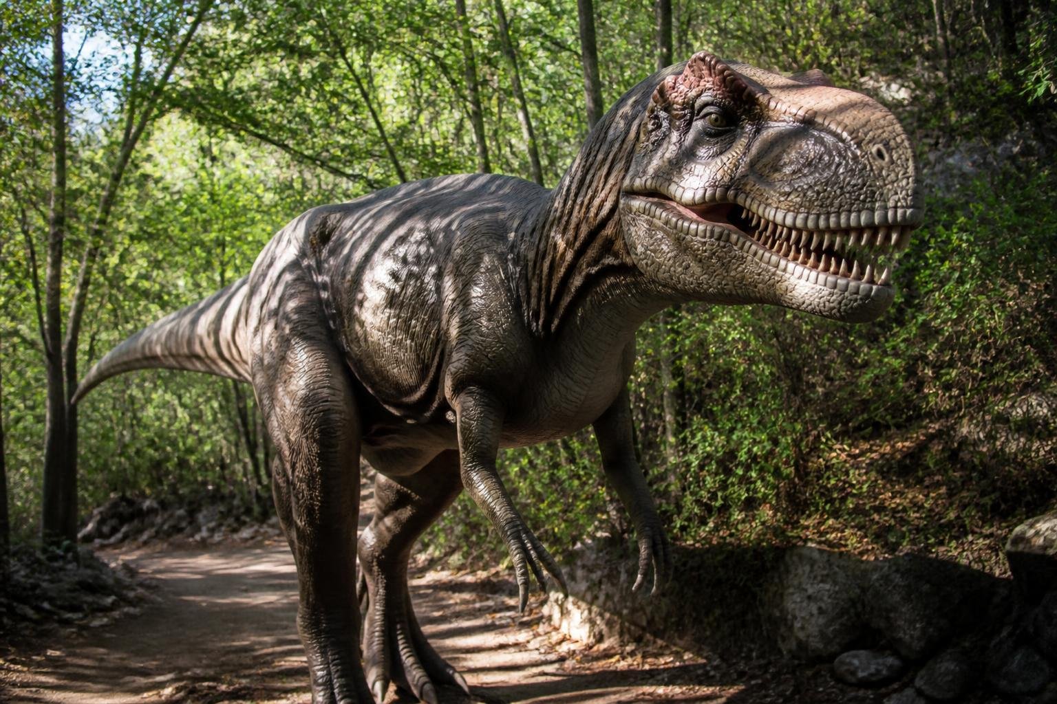Un dinosaure grandeur nature sur un sentier boisé de Dinopedia Parc, en Cévennes près d'Alès