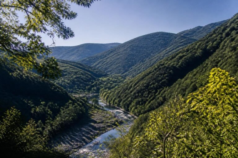 Vallée cévenole du Gardon près de Thoiras et Corbès, avec ses collines de châtaigniers dans le Gard