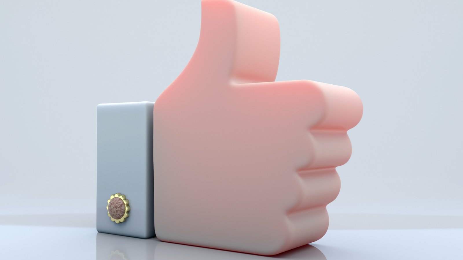 Ces commerces spécialisés qui misent sur le conseil pour fidéliser leurs clients
